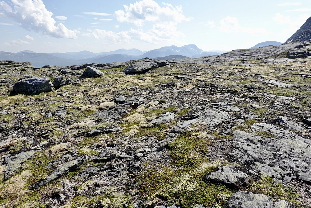 Fauskånebba Sør med en primærfaktor på 3m. På grensa å kalle dette en "topp".