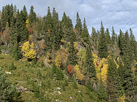 bakken59_20211010_6162f696cde1f.jpeg