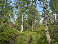 bakken59_20240626_667c17de1e4d4.jpeg