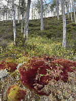 bakken59_20240925_66f467aa2eb66.jpeg
