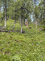 bakken59_20250625_685c4ef40579b.jpeg