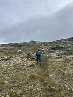 haavafoy_20250825_68ac6c250a2ef.jpg
