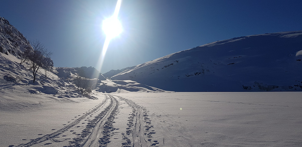 Skarvadalsvatnet og ryggen opp mot Bergsbukken