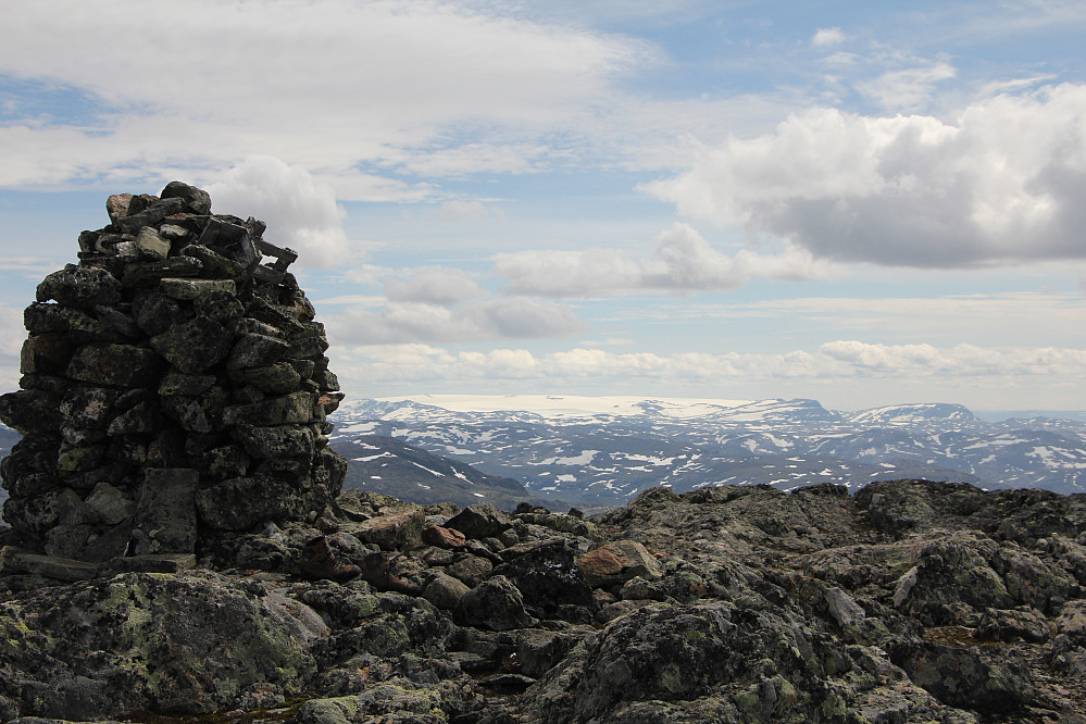 Toppvarden