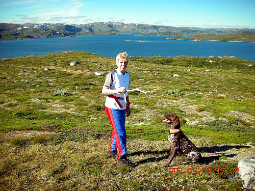 På Botnshaug, en øy midt i Rosskreppfjorden. Urdalsnuten ses bak.