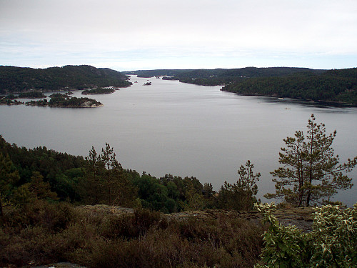 Utsikt utover Sørfjorden sett fra Geitåsen.