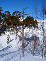 500fjell_2009-04-04_04.jpg