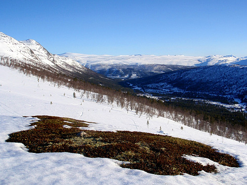 Så kom den hardeste delen av turen, her var det råtten snø! Bak ser man Billingsdalen, Tverrfjellet (1952), Hestedalshøgde (2091), Holåtinder (2047) og Tundradalskyrkja (1970).