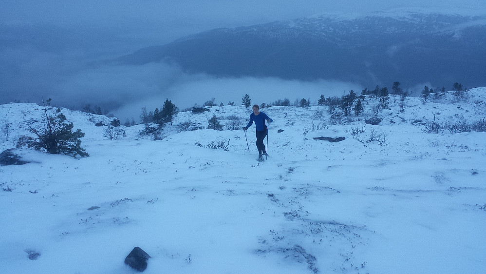 Vinterlig på toppen av Hesteggi. Snart vinter!!!:)