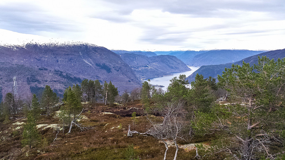 Sogndalsfjorden sett fra Snaueggi.