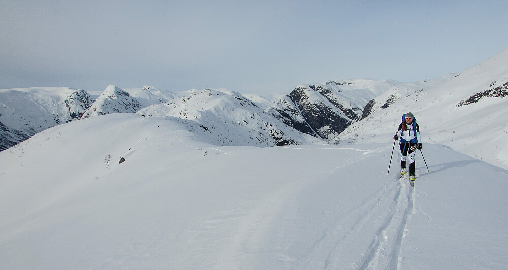 Langsmed ryggen mot Skredfjellet.