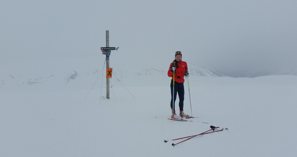 På toppen av Høgehaug.