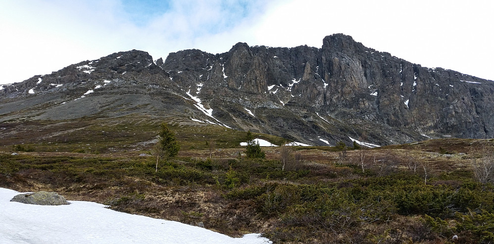 Sørveggen på Skogshorn. Overraskelsen går på pilaren til venstre for den høyeste og mest markante pilaren.