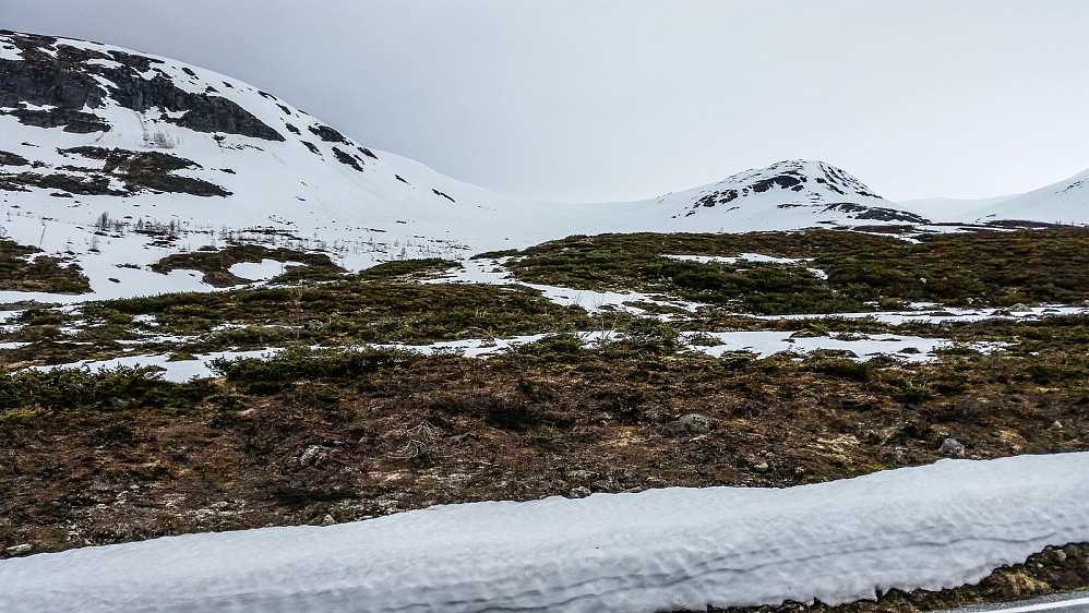 Fra startpunktet. Skuer opp mot dalføret langs Vetlabotna som jeg fulgte.