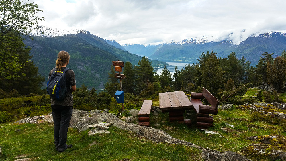 Pauseplass på vei opp Sviggafjellet.
