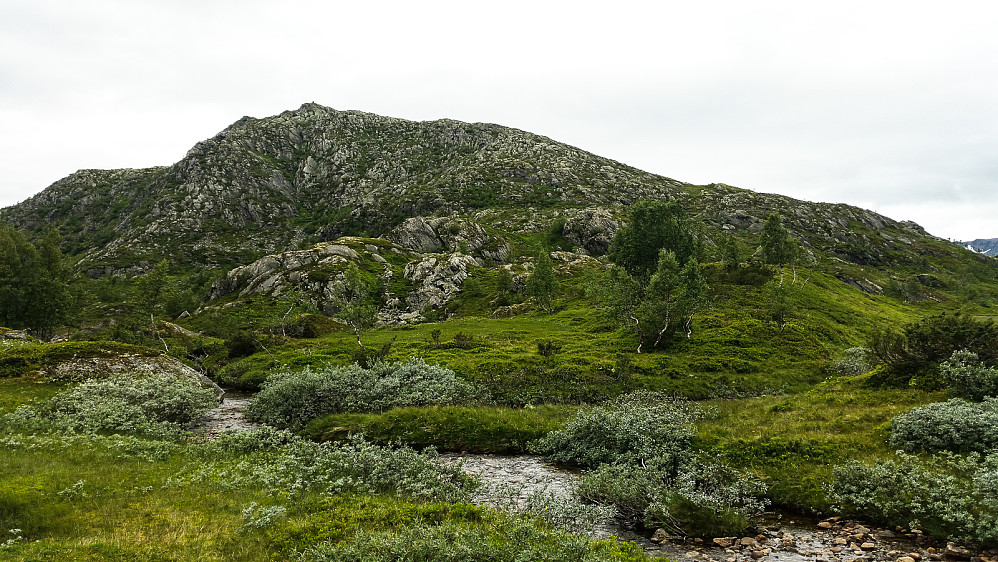 Langanesnovi sett fra sørøst.