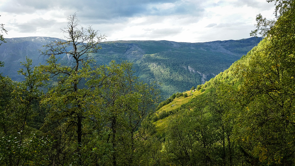 Fuglesteg sett fra stien ned fra Heimdalen.