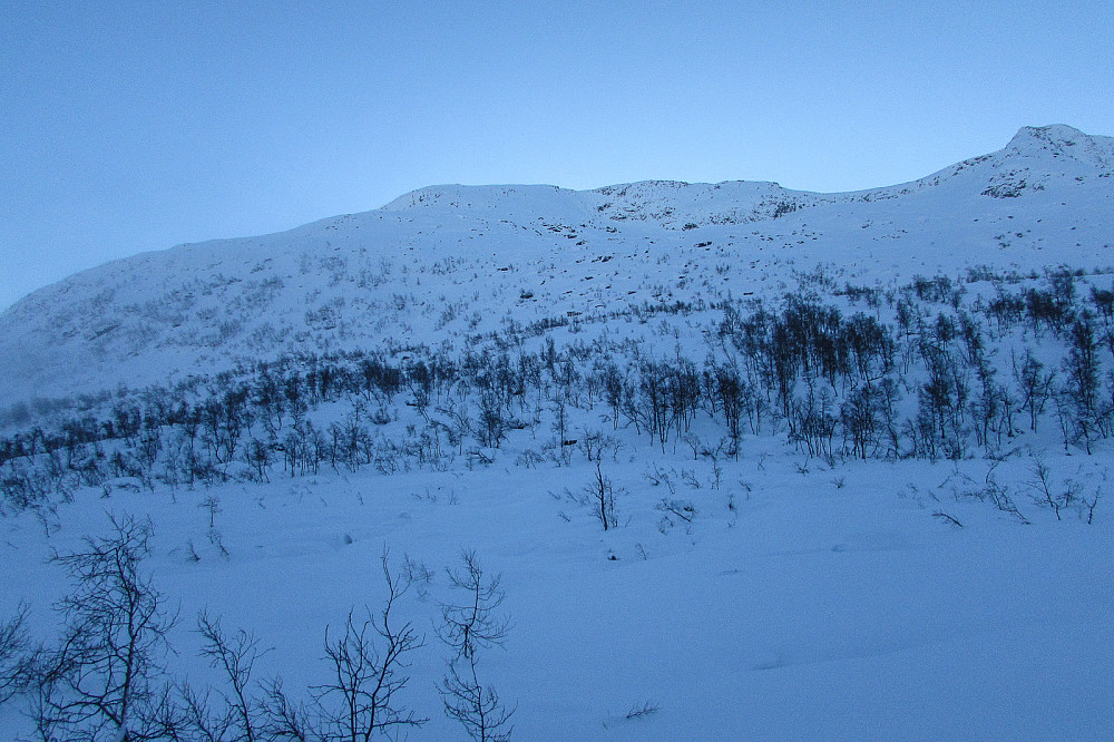 Opp mot nordsida på 1350-toppen og Nystølsfjellet.