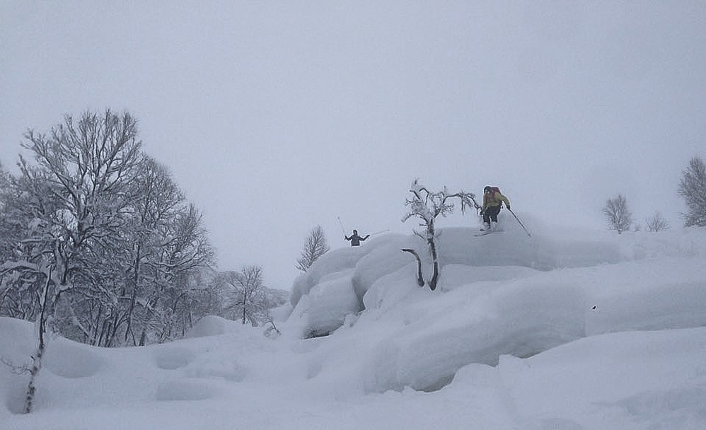 Hopp...
