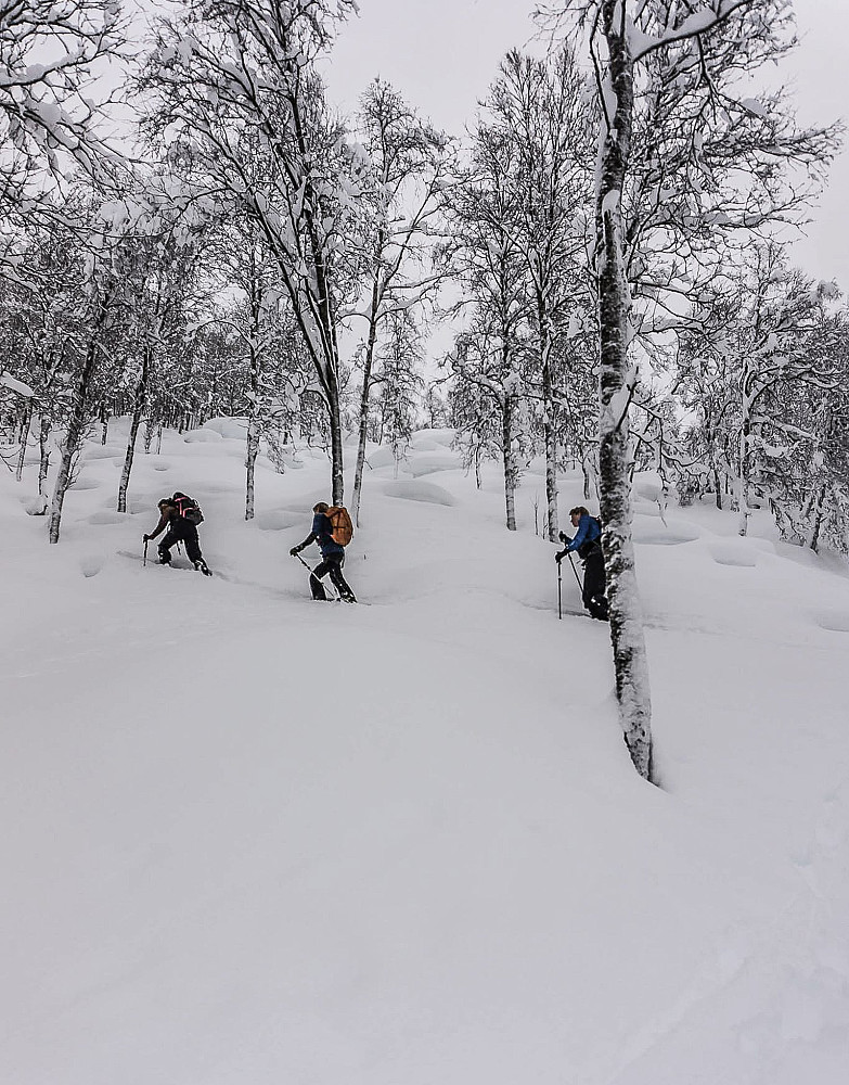 Burde vel strengt tatt ikke ødelegge snøen der vi skal kjøre ned??