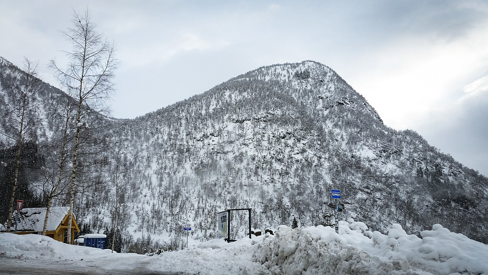 Kløvingahaugen sett fra Berge. Litt anonym fra denne vinkelen, men denne toppen har virkelig flott skogskjøring!
