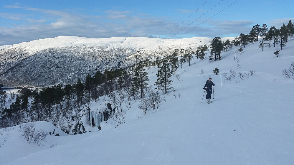 Trolig en av de mer populære toppturene på ski i nærheten av Trondheim.
