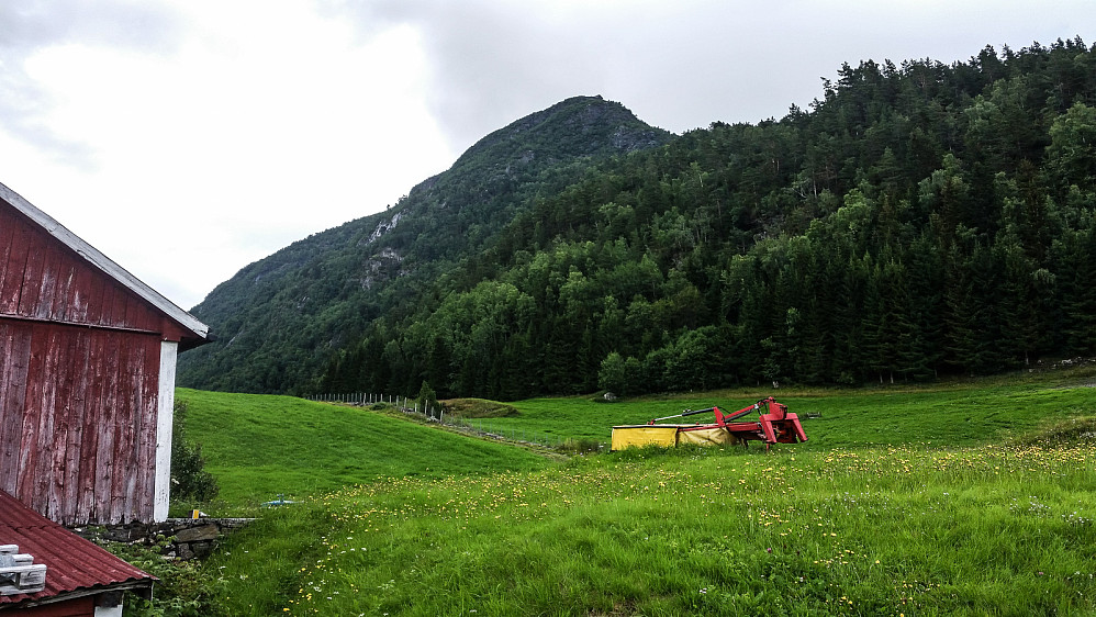 Ryggen opp mot Børesteinen sett fra Berge.