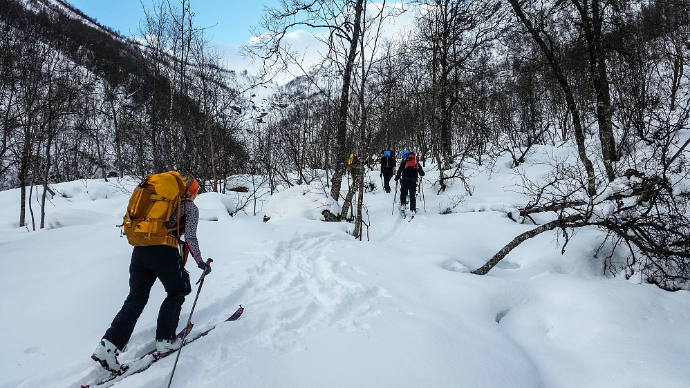 Steindalen, tett skog og etter hvert mye ur.