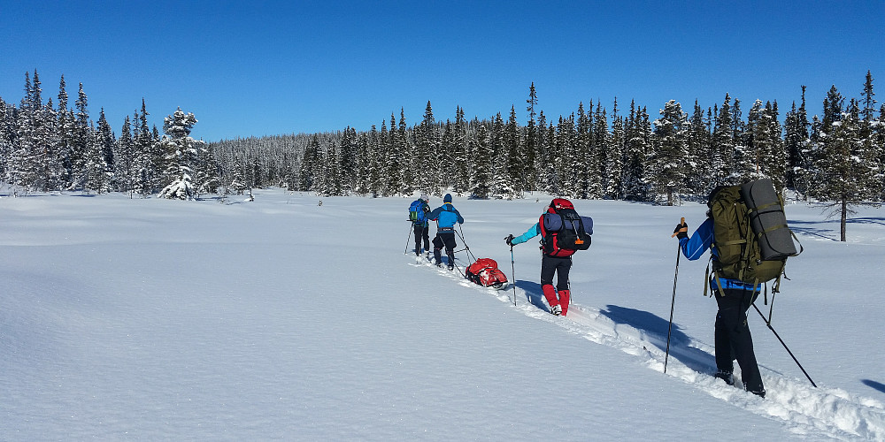 "Kan der tenkes noe sunnere og renere enn på frisk vinterdag å få skiene under føttene og stryke til skogs?" - Fridtjof Nansen
