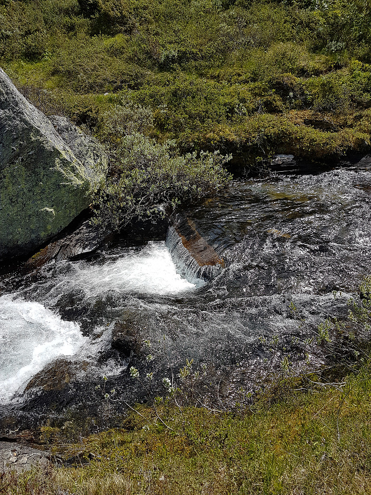 I Norge har vi rent vann blant annet på grunn av den norske topografien. De gode bakteriene som finnes i vann får oksygentilførsel når det blir pisket nedover elvestryk.