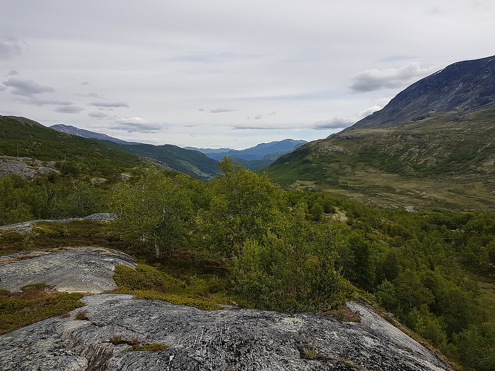 Nedover mot Bøverdalen. Legg merke til de ulike "etasjene" i dalsidene. Det er rester fra ulike istider.