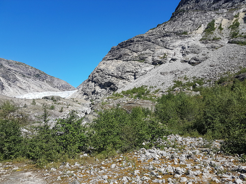 På vei inn til Nigardsbreen. Returen fra klatringa sees i svaene oppi fjellsida sentralt i bildet.