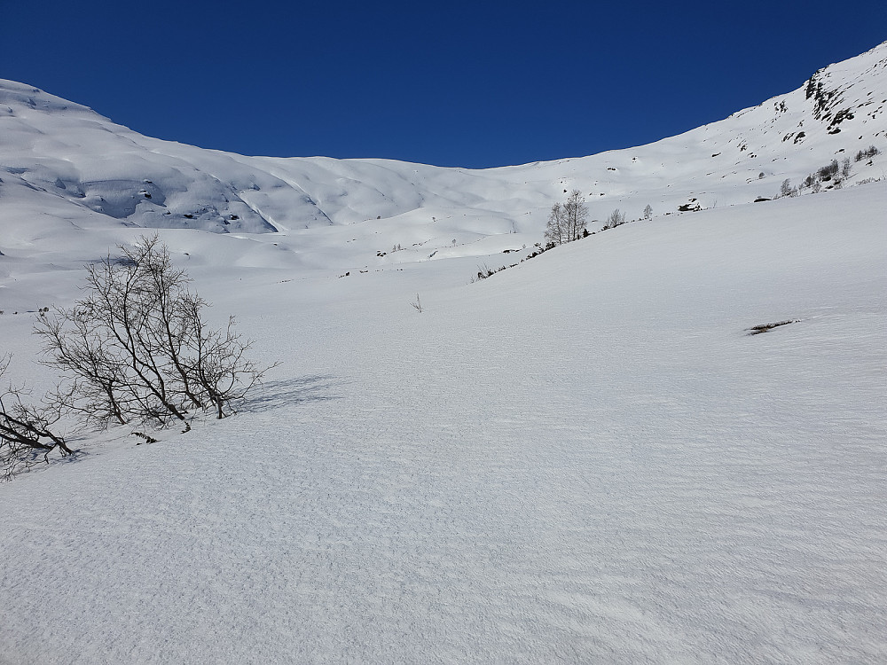 Fjellstølsbotn.