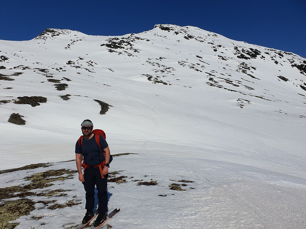 Botnareset med Skogafjellet bak.