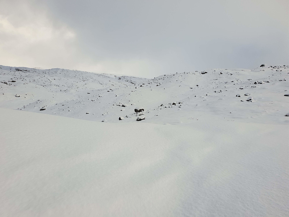 Nok snø i østlige leområder inn mot Sekkebreen.