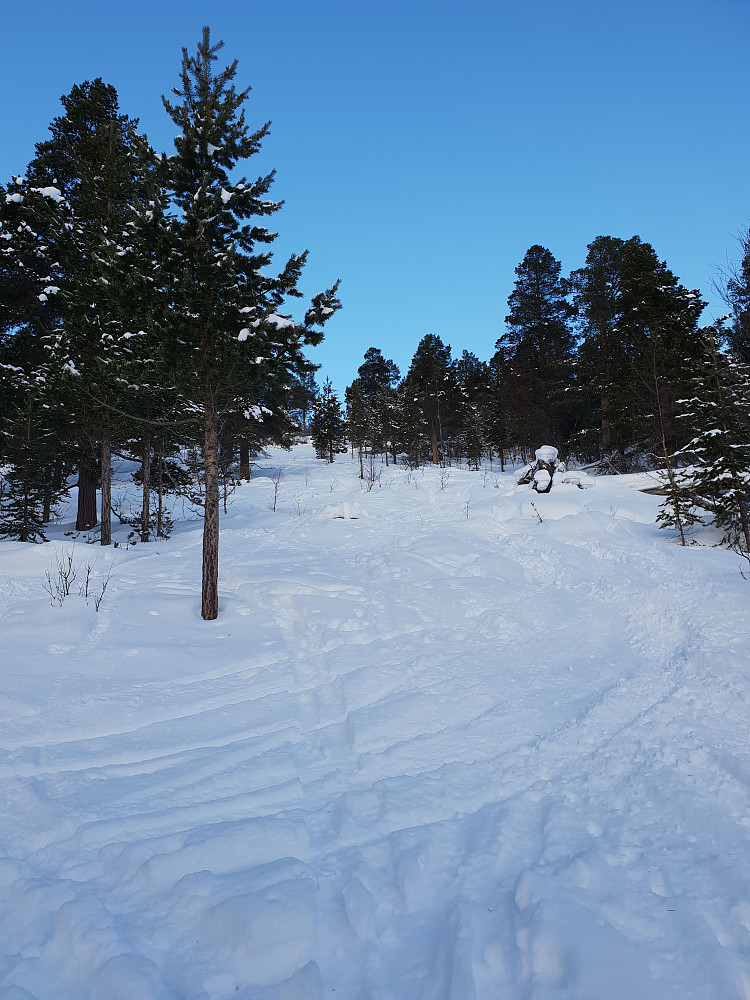 Åpen glenne.