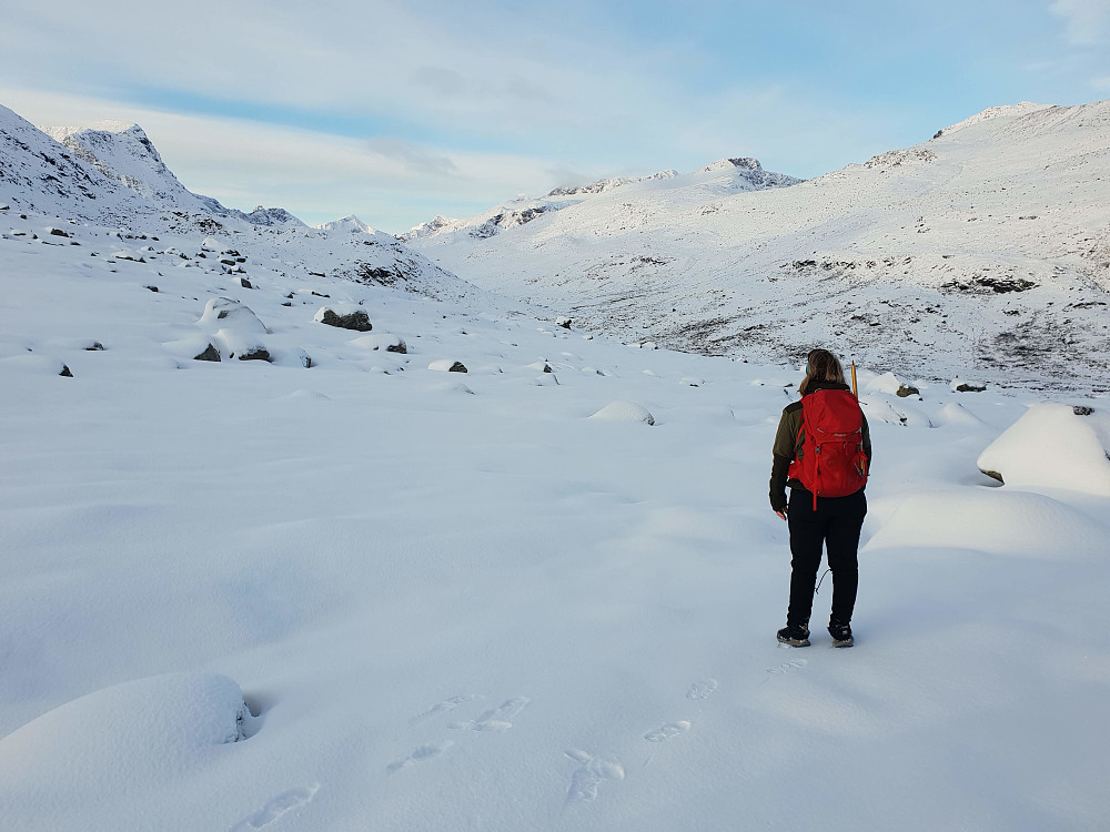 Innover Leirungsdalen.