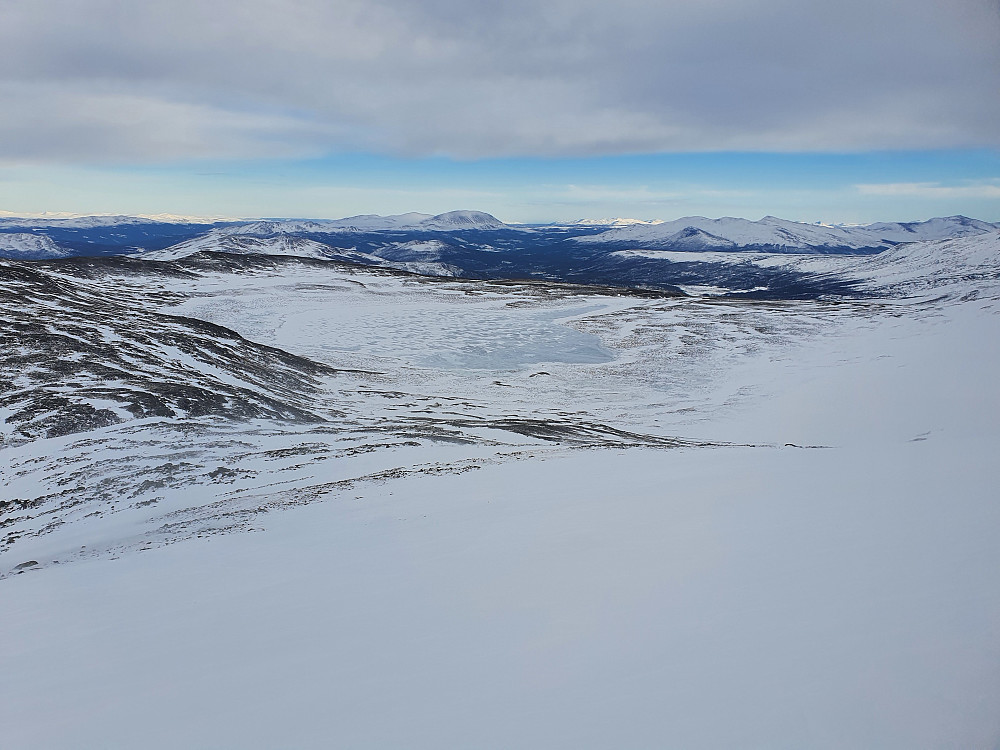 Sylvetjørni.
