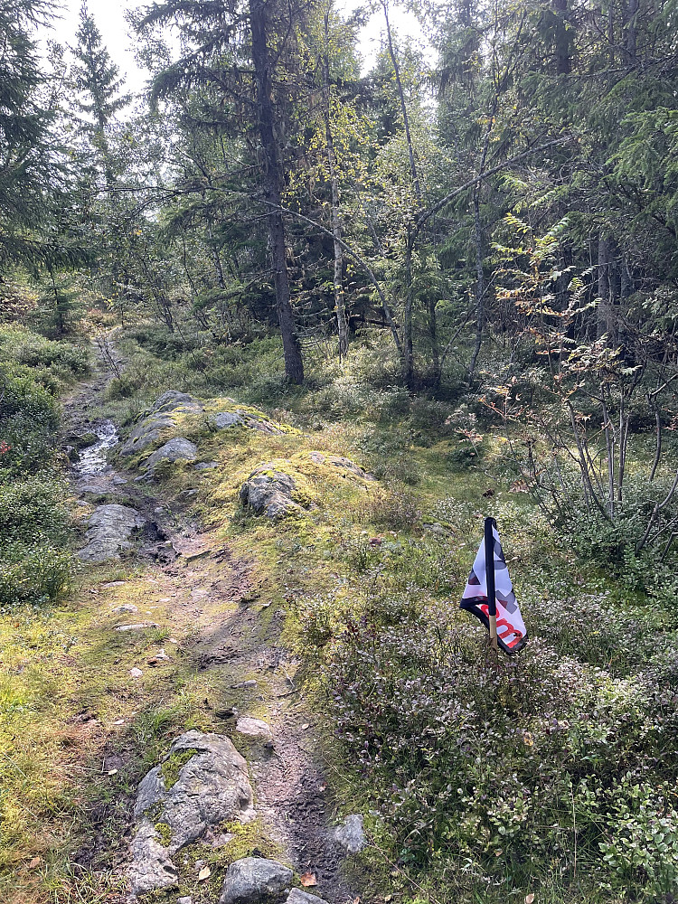 Snikkerhaugen.