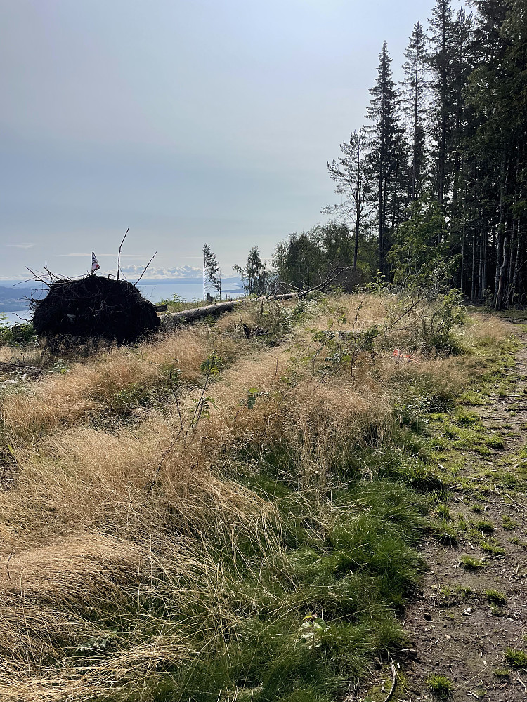 Bergstoppen.