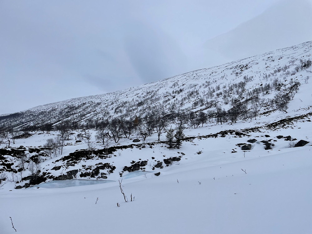 Nede i Tundradalen.
