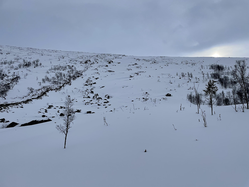 Nede i Tundradalen.