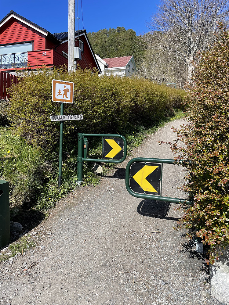 Innsteget til Sukkertopp-stien.