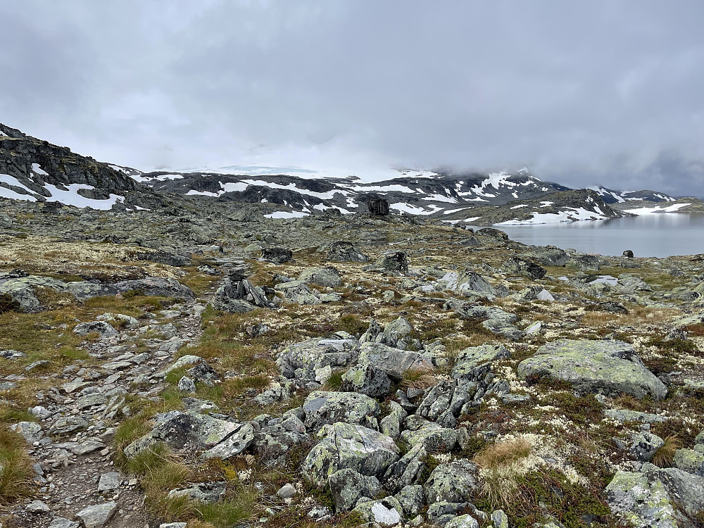 Fint terreng innover mot breen.