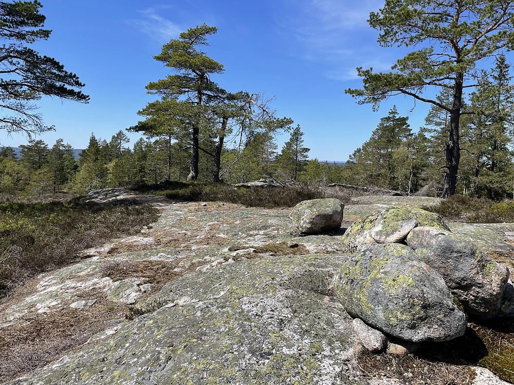 Toppen. En del skog, men noe utsikt.