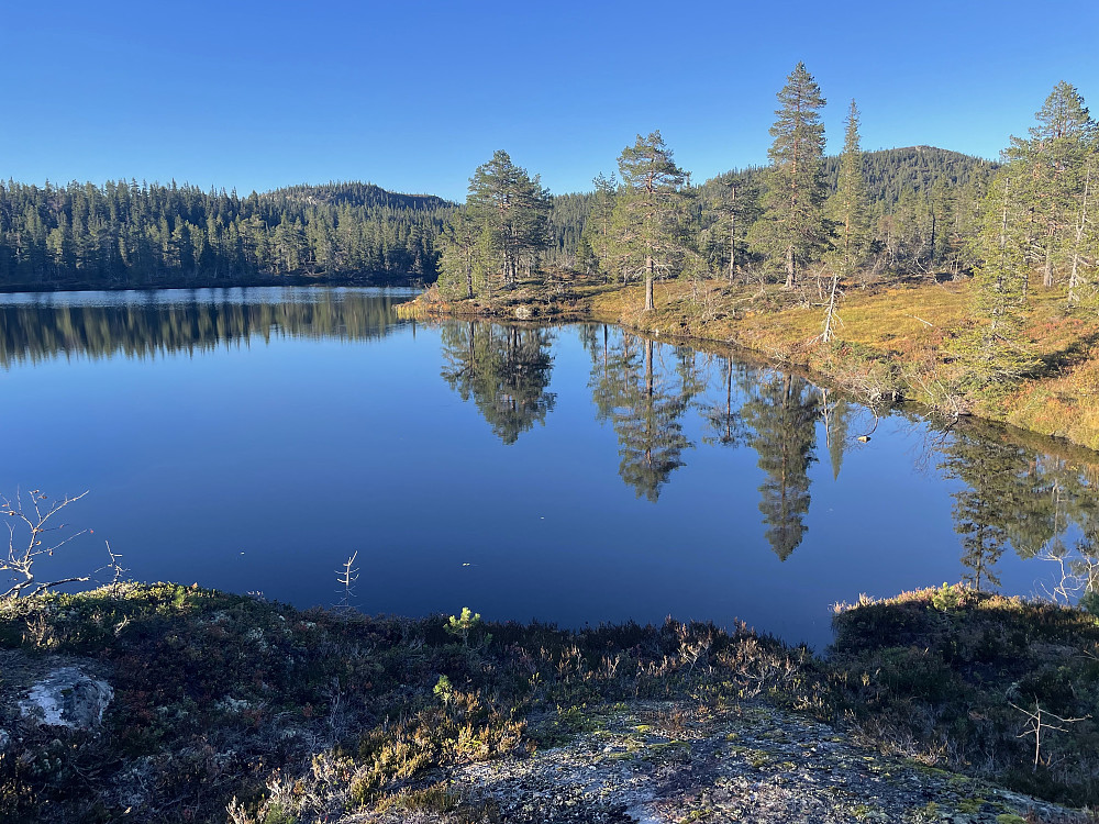 Nydelige farger i fjellet nå.