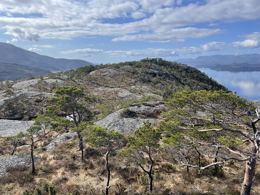 Mot høyeste punkt fra varden.