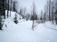 Veien opp mot Bjørnestillingsåsen med MYE snø.