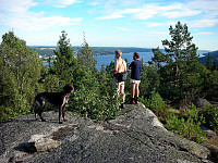 Fin utsikt på sørsiden av øya, ut Oslofjorden.