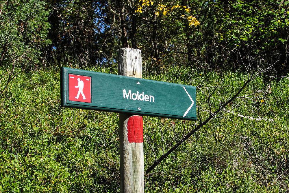 Mot Molden!